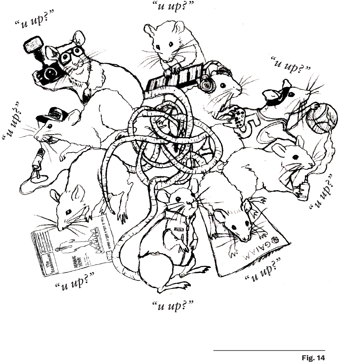 Exes illustration