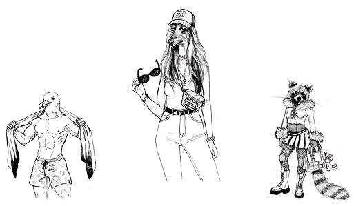 Field Guide Illustration