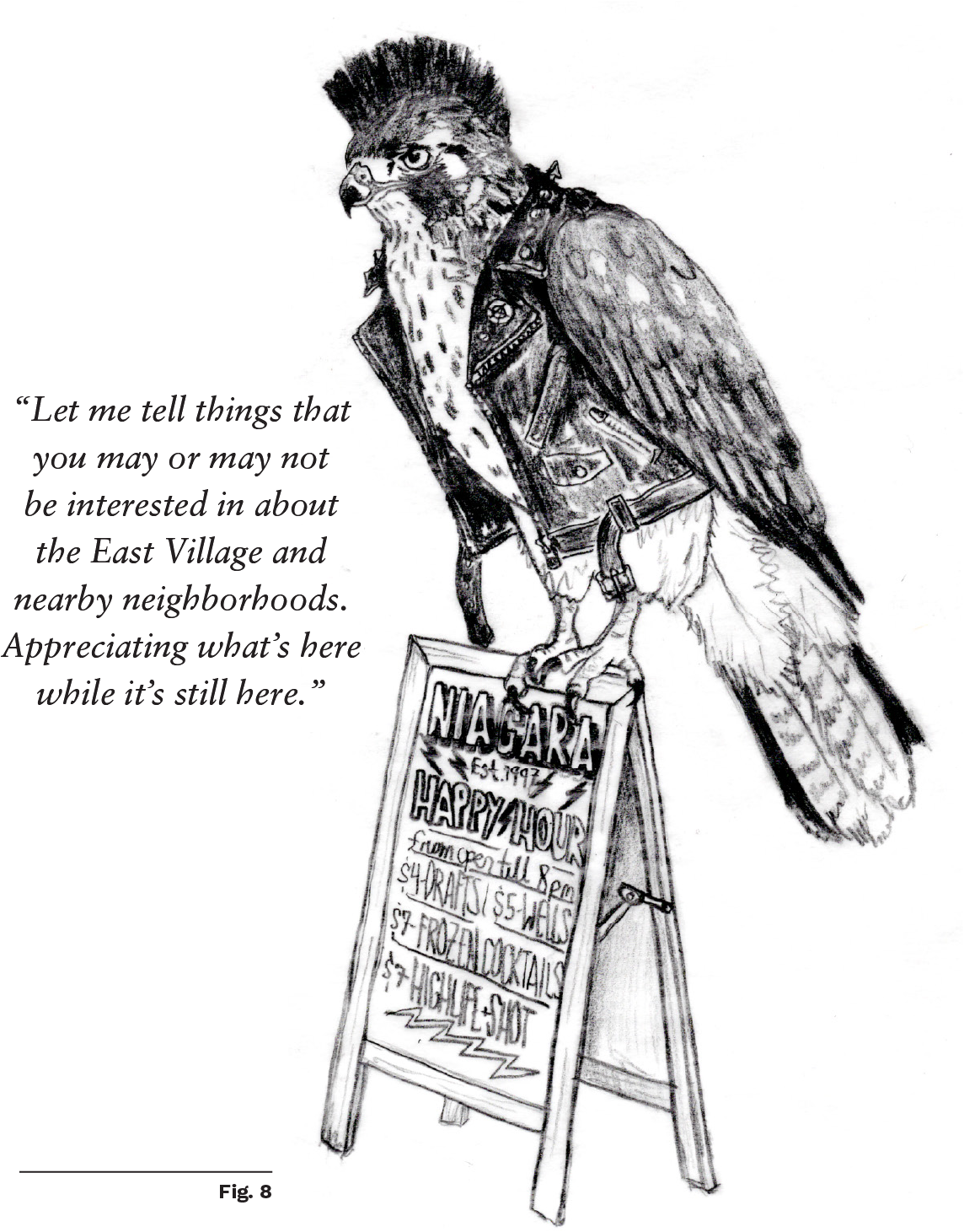 Graying Tall-Tailed Hawk illustration