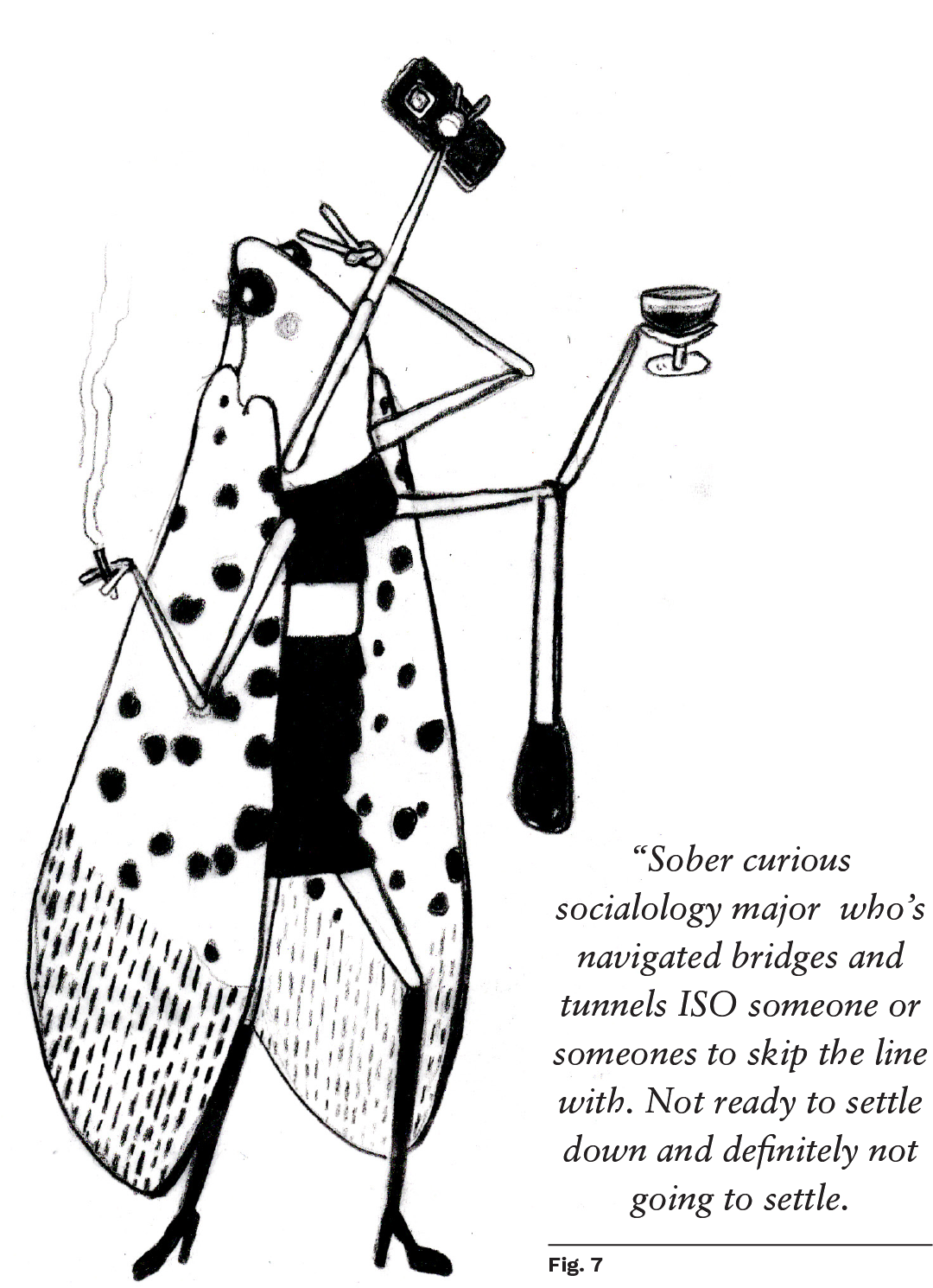 Lanternfly illustration
