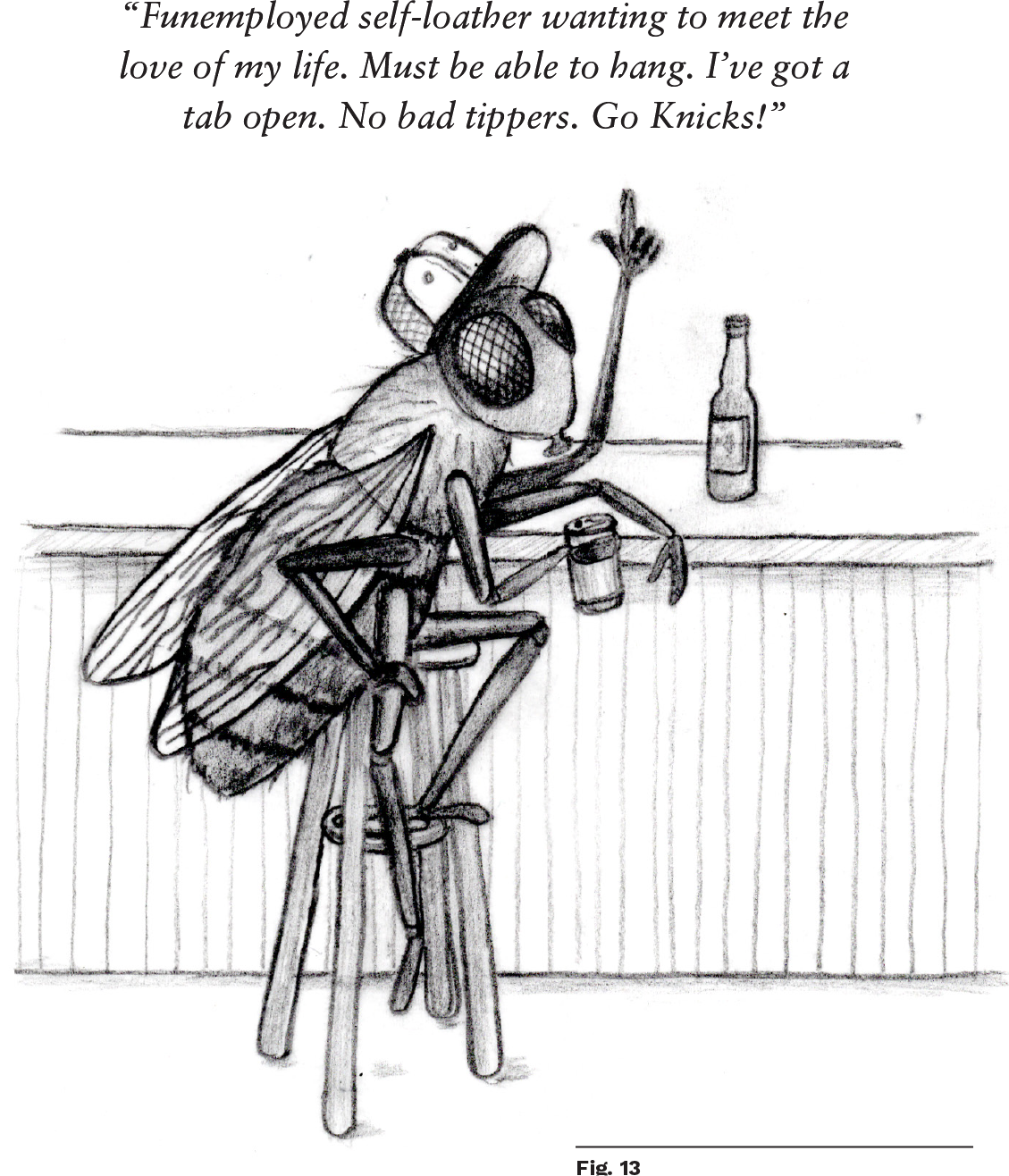 Lesser White-Tipped Local illustration