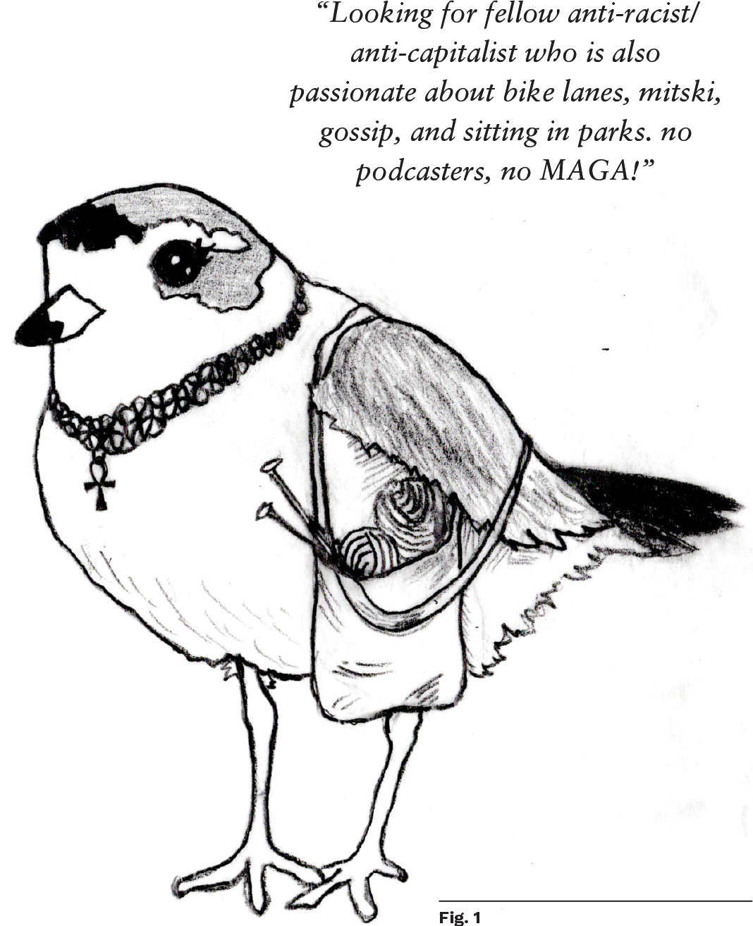 Manic Plover illustration